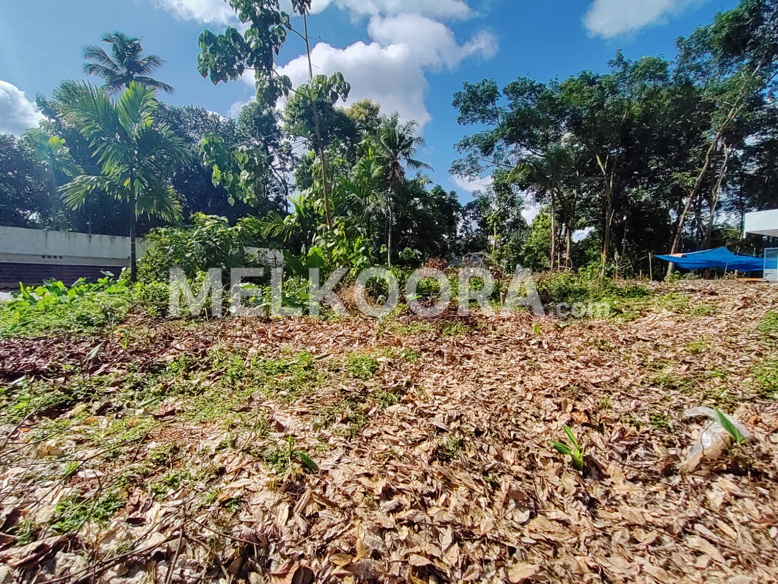 Residential Plot Available for Sale in Vazhakulam