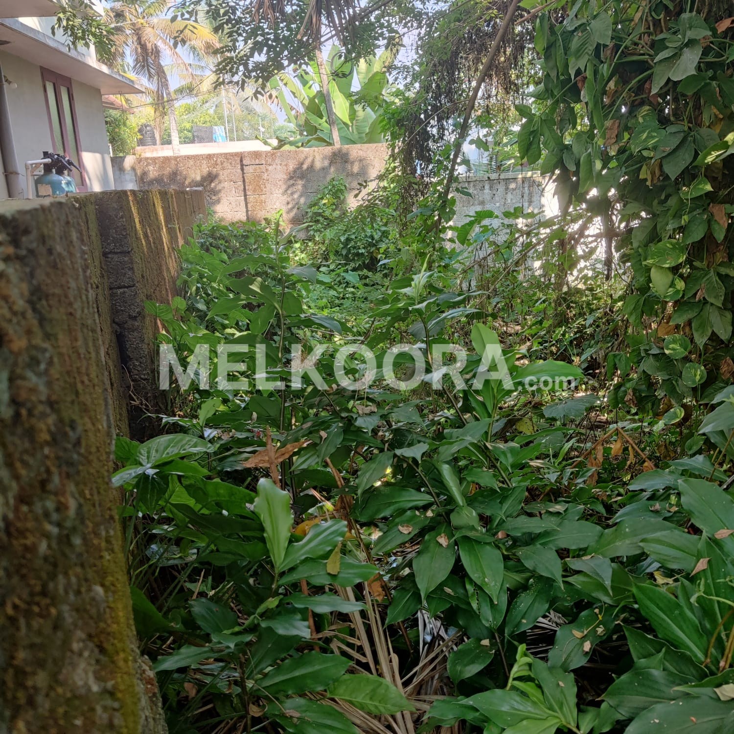 10 CENT PLOT FOR SALE IN PANANGAD