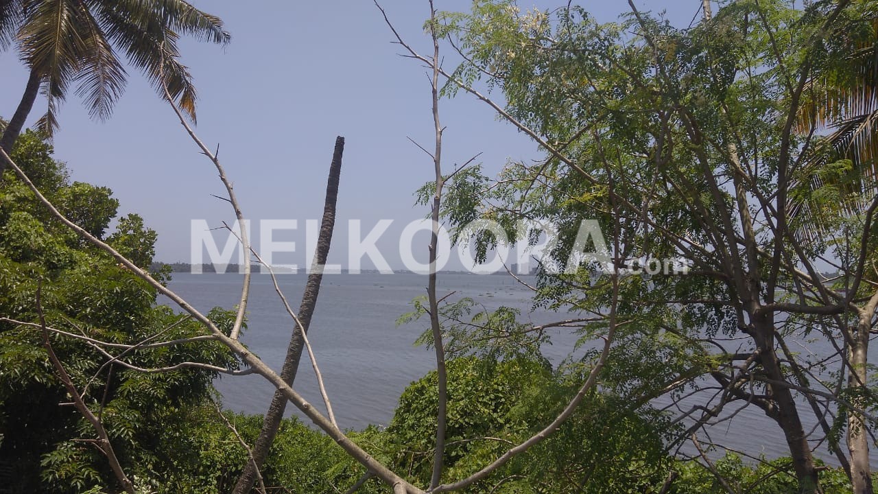 3.5 ACRES LAND FOR SALE AT MOOVATTUPUZHA