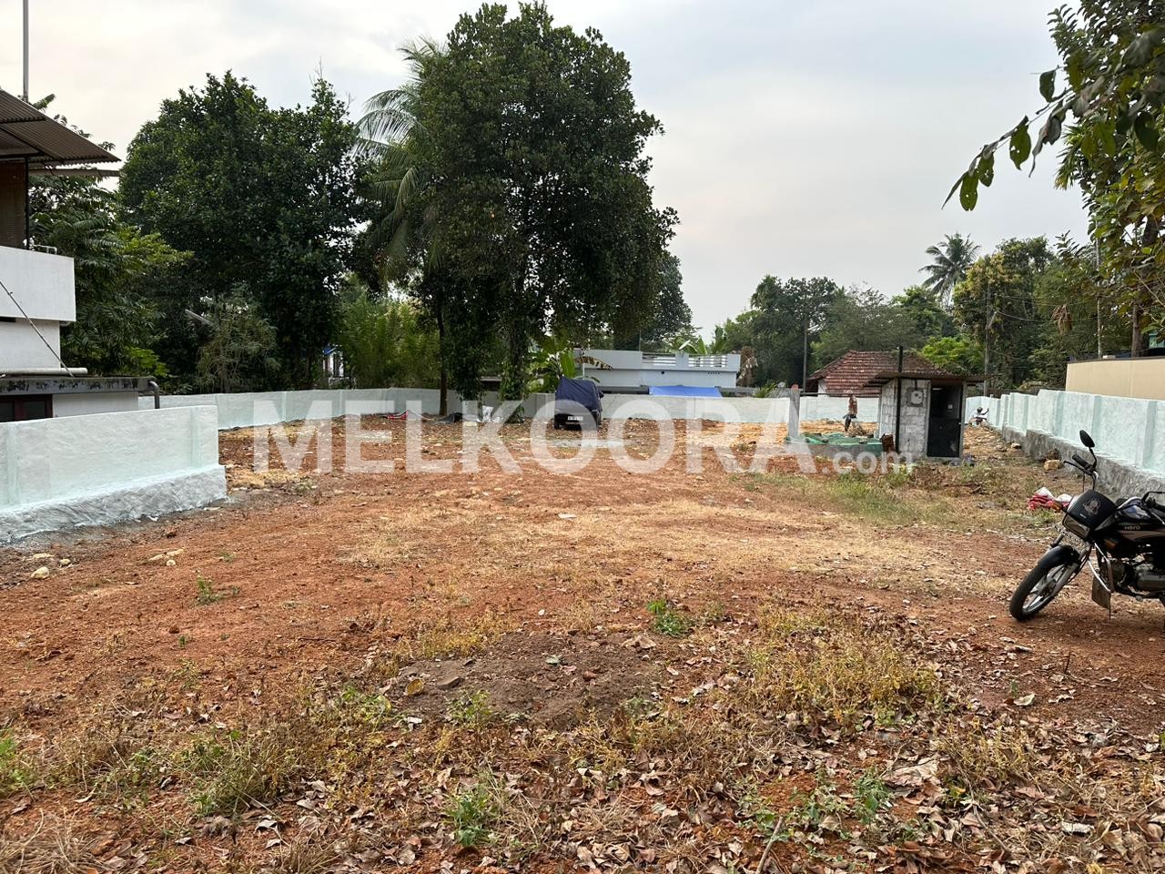 20 CENT RESIDENTIAL PLOT FOR SALE IN ANGAMALY
