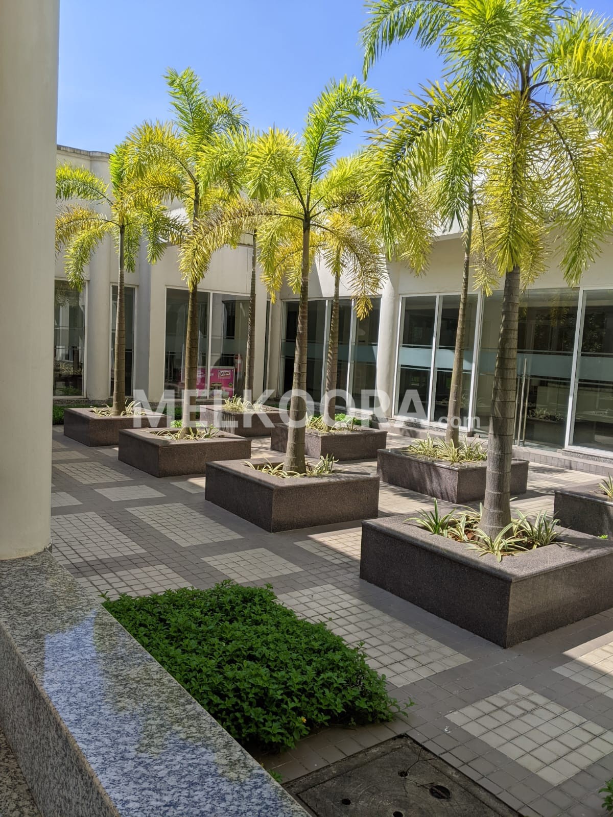 3 BHK SEMI FURNISHED FLAT FOR SALE IN KAKKANAD