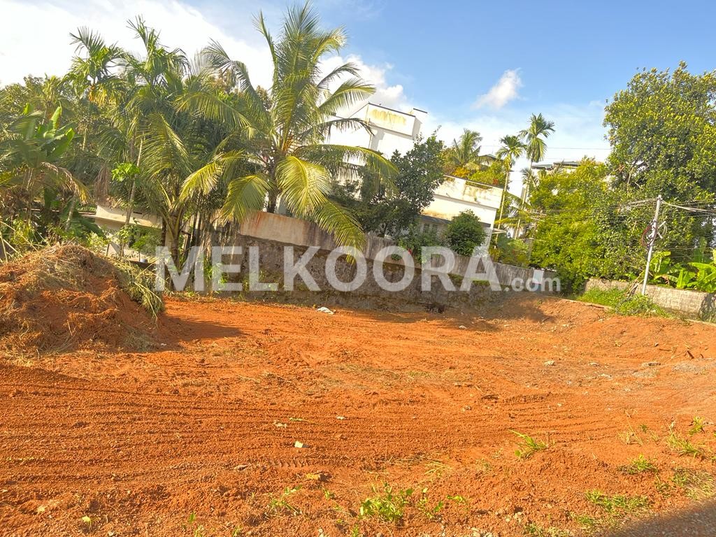 Residential Plot of 25 Cents for Sale in Kangarappady