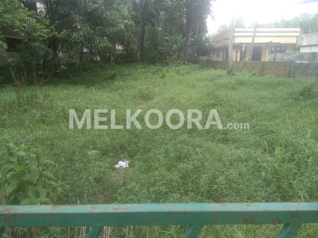 14 Cent Residential Land for Sale in Nettoor