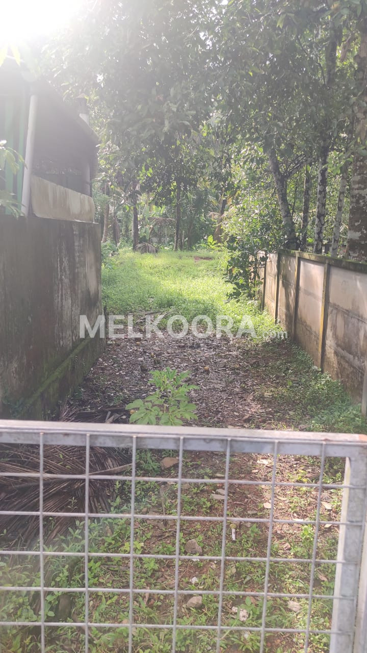 Residential Land for Sale in Chakkumarassery, North Paravur