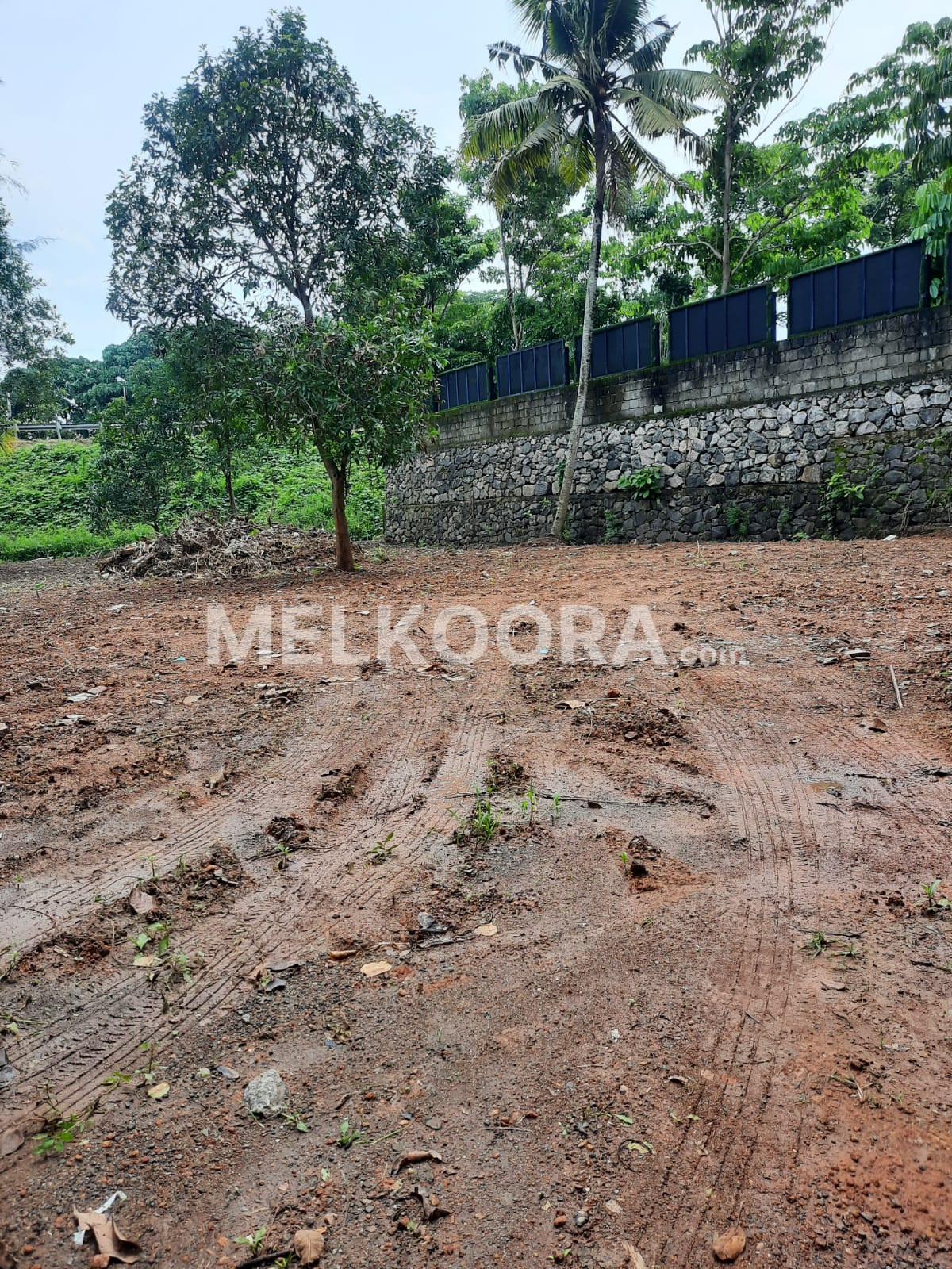 12 Cent Residential Land for Sale in Kalamassery