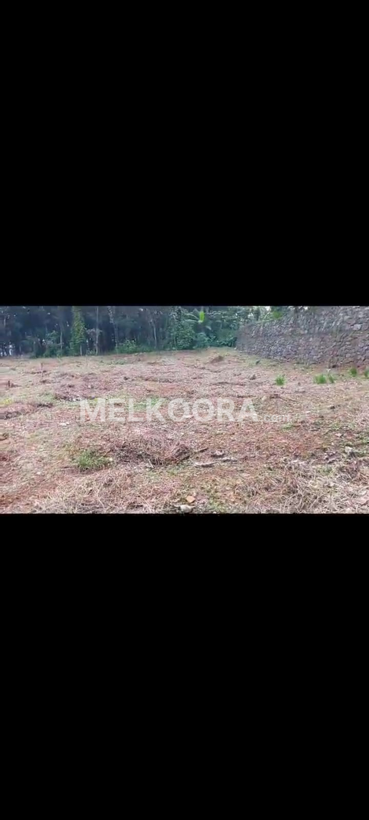 33 Cent Residential Land for Sale in Thodupuzha