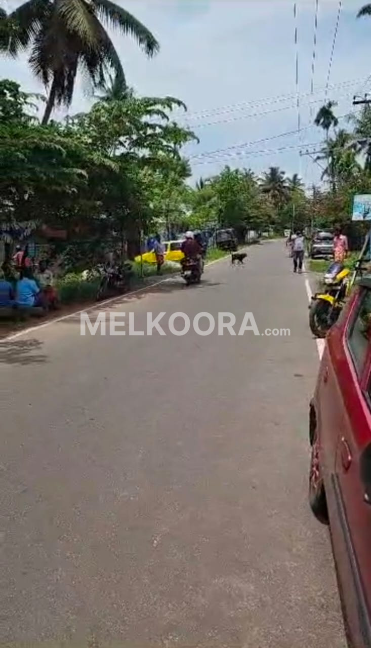 30 Cent Land for Sale in Vypin