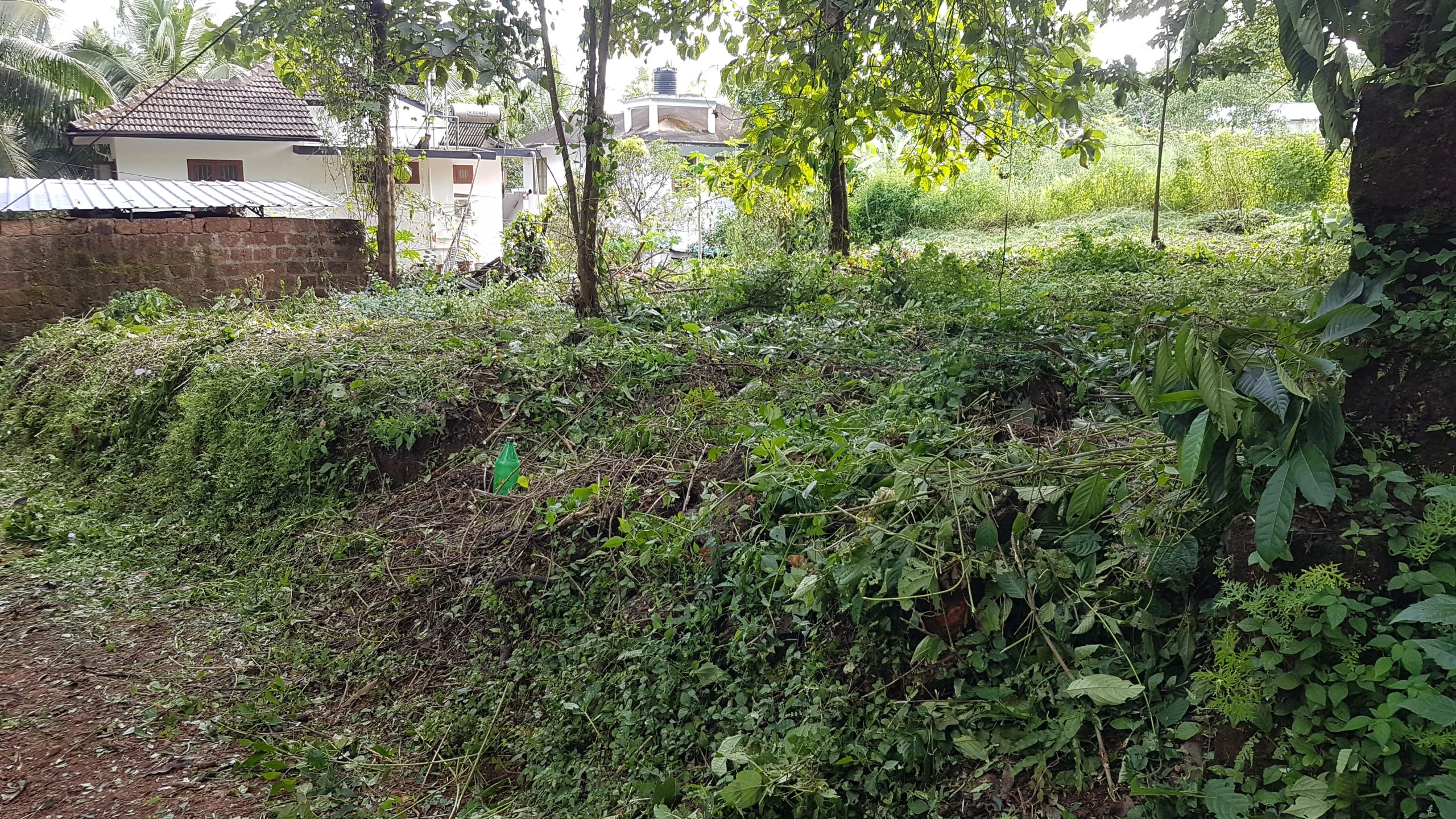 10 cent Residential Land For Sale in Kuthuparambu, Kannur