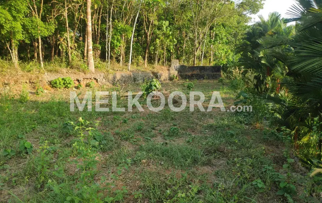 13.5 Cent Residential Land For Sale in Kolenchery