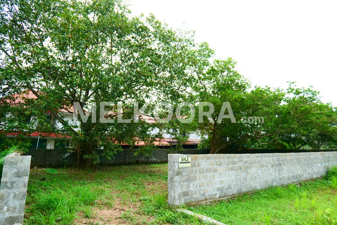 Residential Land For Sale in Thrippunithura