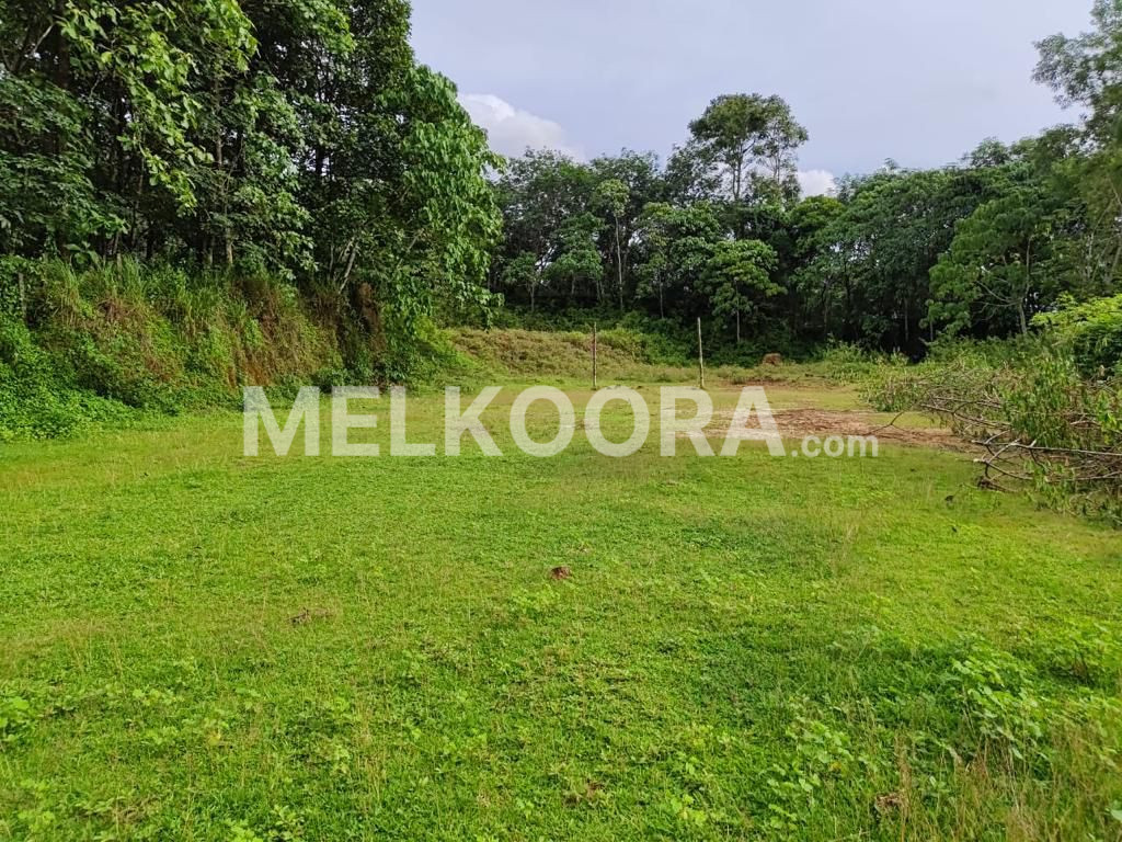 62 Cent Residential Land For Sale in Muvattupuzha