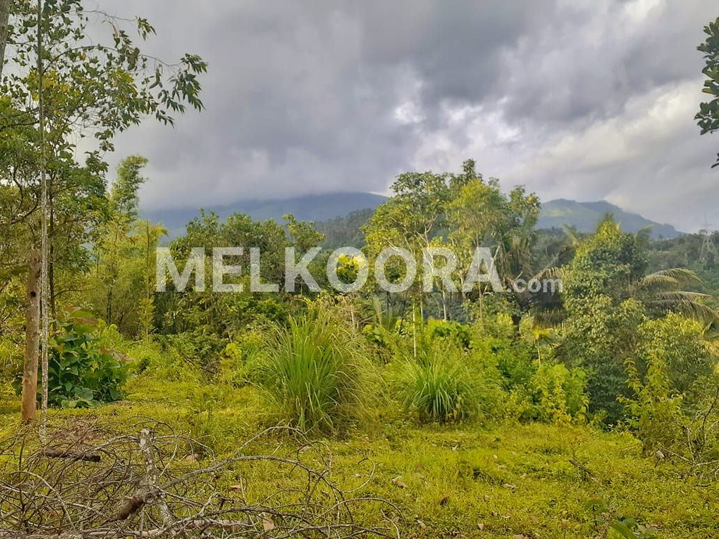 4.5acre Residential Land For Sale at Munnar For Rs 3.95Cr