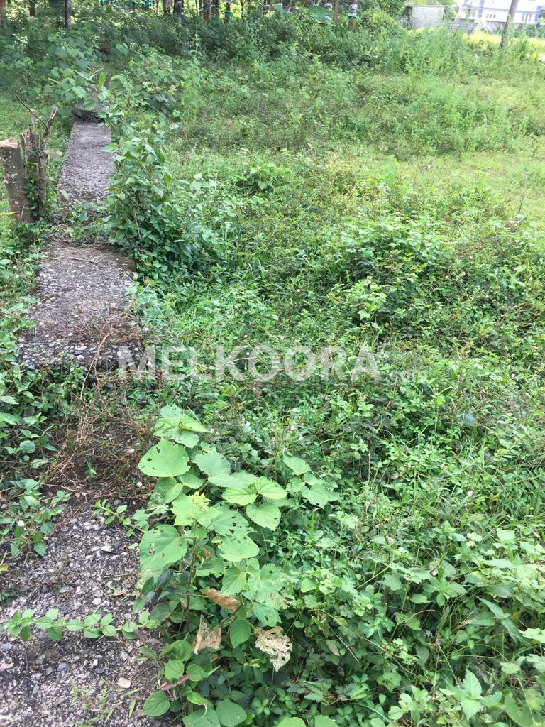 10 Cent Residential Land For Sale at Koratty For Rs 3Lakhs Per Cent