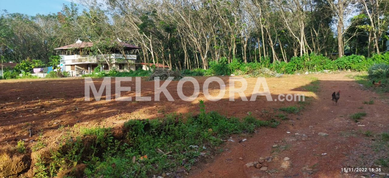 65 Cent Residential Land For Sale at Aluva For Rs 5.25Lakhs Per Cent