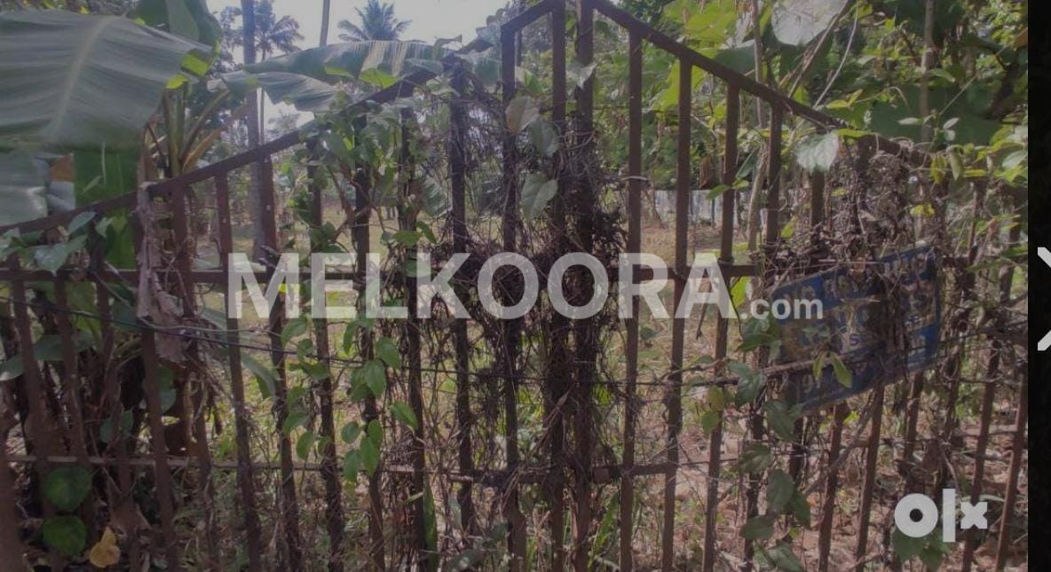 130 Cent Commercial Land For Sale at Angamaly For Rs 11Lakhs Per Cent