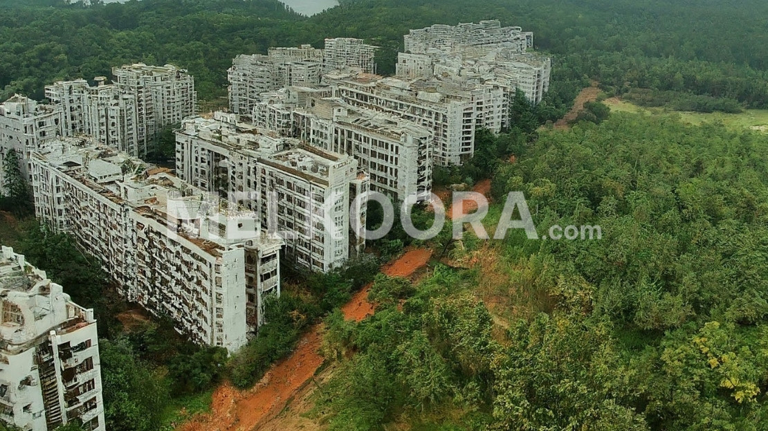 Real Estate Companion in Kerala