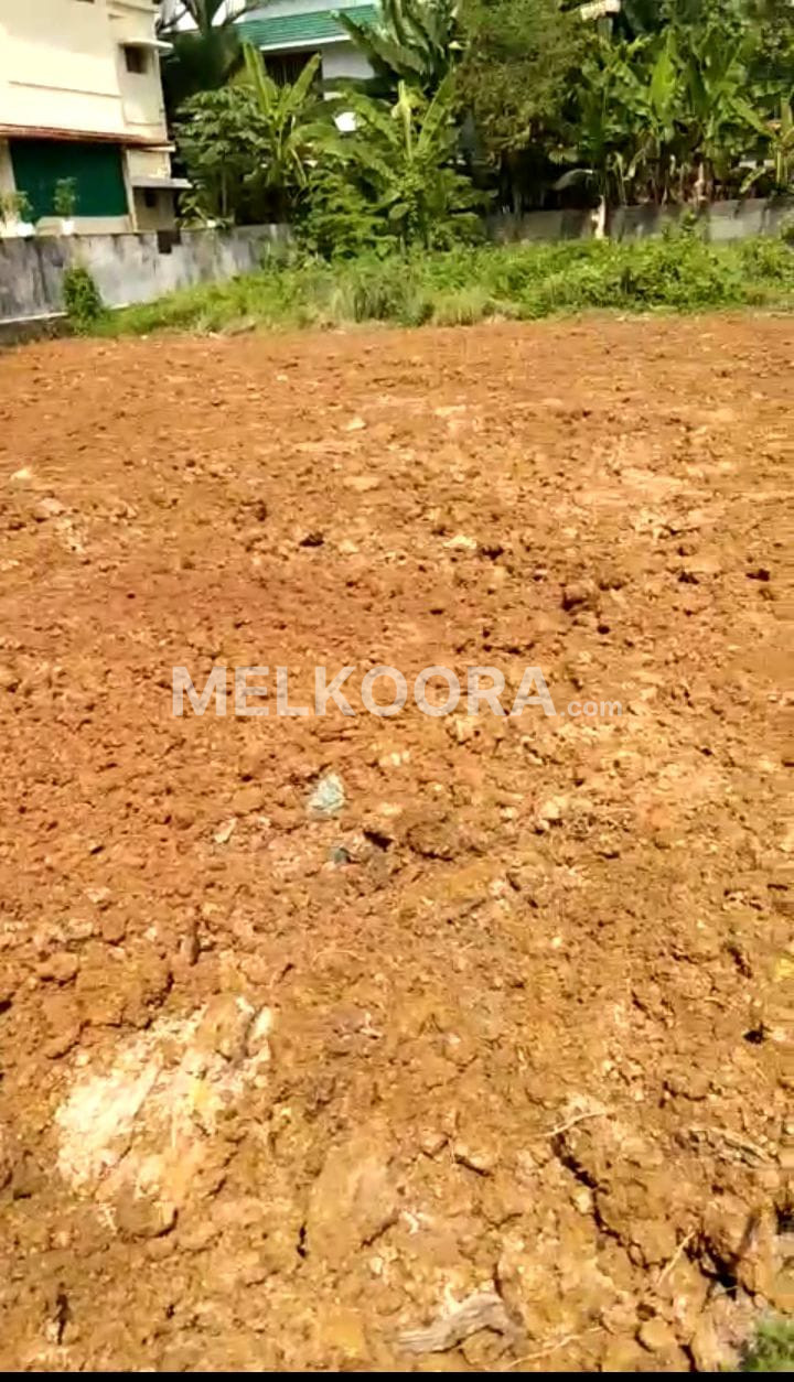 6Cent Residential Land for Sale at Kadavanthra for Rs16Lakhs percent
