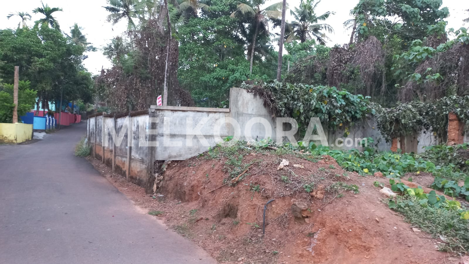 35Cent residential land for sale at Pattimattom for Rs 4.75Lakhs per cent