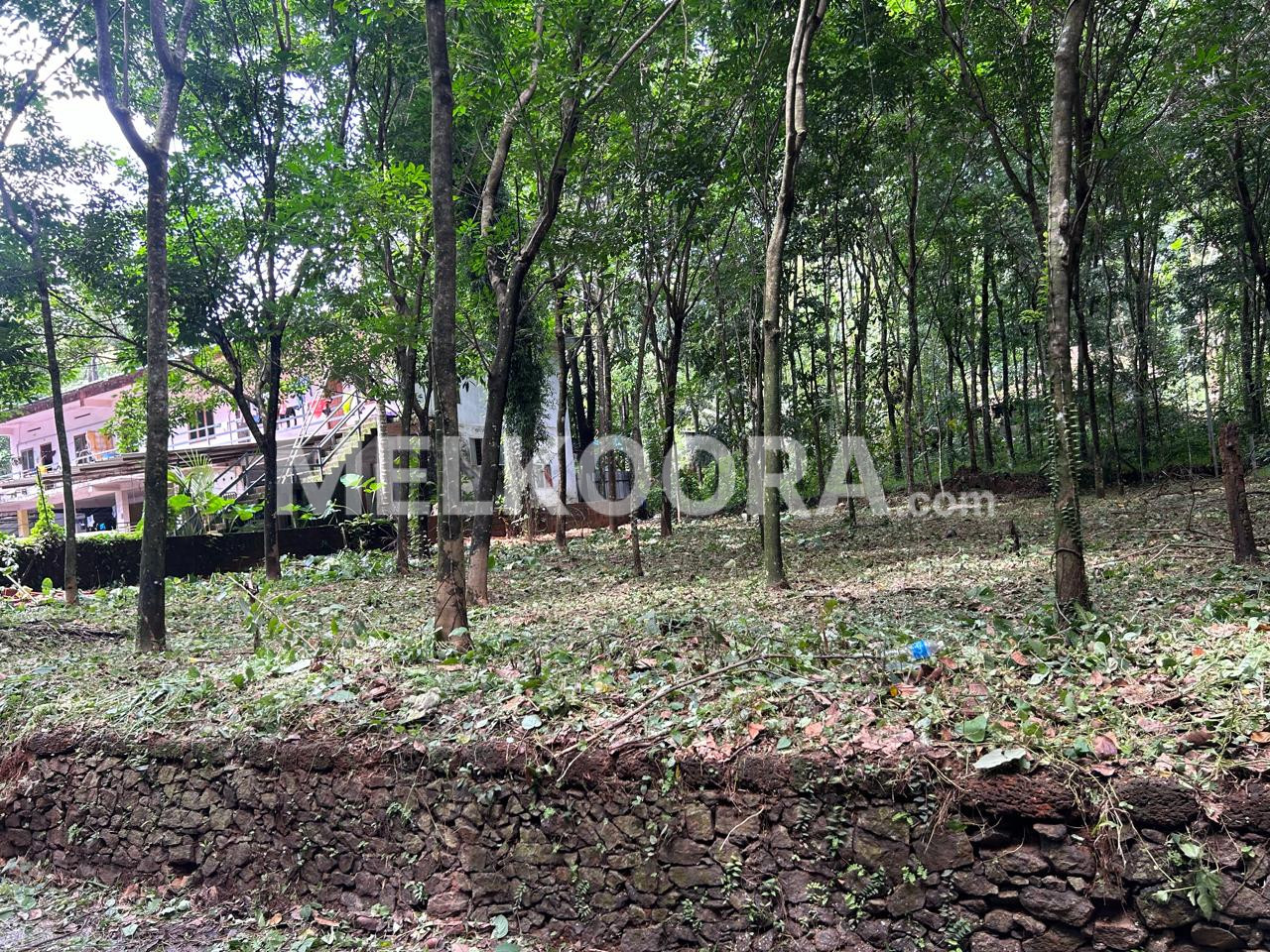14.5 Cent Residential Land For Sale at Muvattupuzha For Rs 5.25Lakhs Per Cent