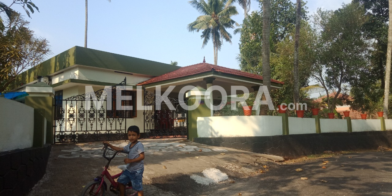 3BHK 1500Sqft Semi Furnished House For Sale at Kothamangalam For Rs 62Lakhs